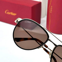 CARTIER – CT0325S