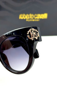  roberto cavalli  SRC065