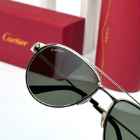 Cartier – CT0326S