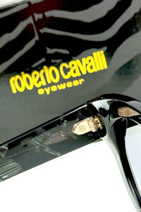  roberto cavalli  SRC065