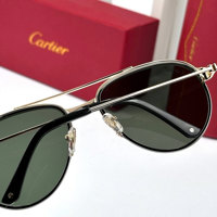 Cartier – CT0326S