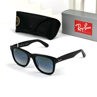 RAY BAN 0502